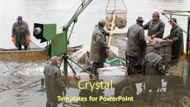  Presentation with dating - 