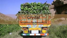  Presentation with hampi - PPT theme enhanced with load of bananas hampi india background and a coral colored foreground