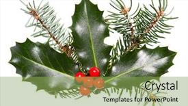  Presentation with holly - Presentation theme enhanced with lobes - holly leaves and berries isolated background and a seafoam green colored foreground