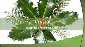  Presentation with holly - PPT theme with lobes - holly leaves and berries isolated background and a tawny brown colored foreground
