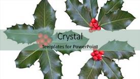 Presentation with holly - Amazing PPT layouts having lobes - holly leaves and berries isolated backdrop and a seafoam green colored foreground