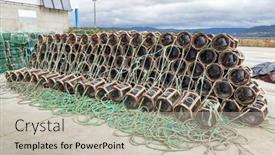  Presentation with crab - PPT layouts enhanced with lobster-and-crab-boxes background and a mint green colored foreground