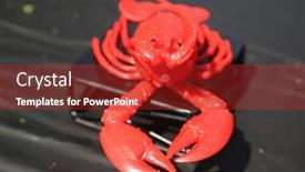  Presentation with everyone - Presentation theme having lobster-plastic-lobster-a-fun background and a crimson colored foreground
