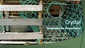  Presentation with siberian tiger taken - Amazing slide deck having lobster-pot-taken-closeup backdrop and a ocean colored foreground