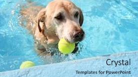  Presentation with swimming pool - Slides featuring local pool with a tennis background and a  colored foreground