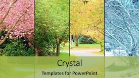  Presentation with four seasons - Beautiful slide set featuring location spring summer fall winter backdrop and a yellow colored foreground