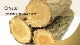  Presentation with lumber - Amazing PPT layouts having log - timber lumber balk beam short backdrop and a yellow colored foreground