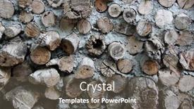  Presentation with mud house - Amazing PPT theme having logs-and-mud-wall backdrop and a gray colored foreground