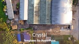  Presentation with wood industry - Presentation enhanced with logs-from-forest-at-sawmill background and a violet colored foreground