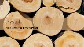  Presentation with trees - Theme featuring logs-of-big-trees-stacked background and a coral colored foreground