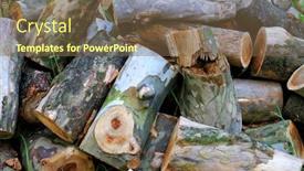  Presentation with grass - Slide deck enhanced with logs-on-grass-in-fores background and a tawny brown colored foreground