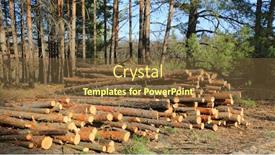  Presentation with pine forest - Slides enhanced with logs-on-tree-crearing background and a tawny brown colored foreground