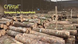  Presentation with lumber - PPT theme having logs-piled-up-at-lumber background and a tawny brown colored foreground