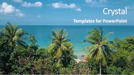  Presentation with tropical leave - PPT layouts featuring lokking islands - looking through tropical tree leaves background and a teal colored foreground