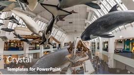  Presentation with history england - 