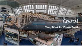  Presentation with life science - 