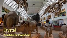  Presentation with history england - 