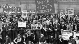  Presentation with newfoundland - Slides consisting of london-march-11-crowds-gather background and a gray colored foreground