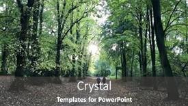  Presentation with avenue - 