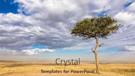  Presentation with kenya - Presentation theme with lone-acacia-tree background and a yellow colored foreground