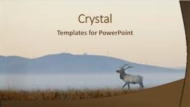  Presentation with california - Presentation design enhanced with covet - word envy written in vintage background and a tawny brown colored foreground