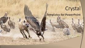  Presentation with myanmar mote lone yay paw - PPT theme enhanced with lone hyena chases vultures away background and a lemonade colored foreground