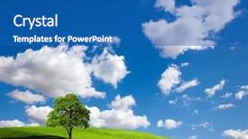  Presentation with green tree - Colorful presentation theme enhanced with lone tree on green field backdrop and a  colored foreground