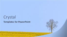  Presentation with blue yellow - Cool new PPT layouts with lone tree standing in a field of yellow rapeseed against a blue sky on the south downs in hampshire england backdrop and a light blue colored foreground