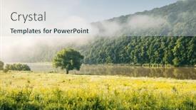  Presentation with willow tree - Presentation theme consisting of lone-willow-tree background and a lemonade colored foreground