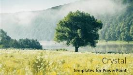  Presentation with willow tree - PPT layouts featuring lone-willow-tree background and a yellow colored foreground