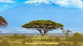  Presentation with savannah - Presentation design with lone-zebra-grazes background and a tawny brown colored foreground