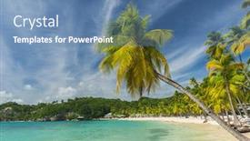  Presentation with coconut palm tree - Audience pleasing presentation consisting of lonely-coconut-palm-tree backdrop and a teal colored foreground