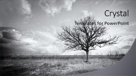  Presentation with nature art - Audience pleasing theme consisting of lonely dead tree art nature backdrop and a light gray colored foreground