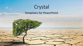  Presentation with green tree - PPT layouts featuring lonely green tree background and a light blue colored foreground