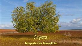  Presentation with pasture - PPT layouts having lonely-oak-in-the-middle background and a tawny brown colored foreground