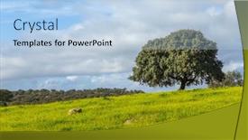  Presentation with pasture - PPT theme enhanced with lonely-oak-in-the-middle background and a light blue colored foreground