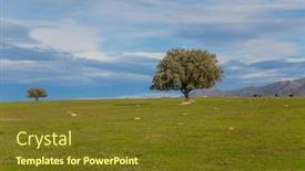  Presentation with oak - Presentation design consisting of lonely-oak-in-the-middle background and a tawny brown colored foreground