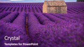  Presentation with old stone age - Presentation consisting of lonely old abandoned stone house background and a violet colored foreground