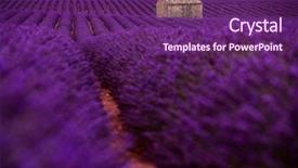  Presentation with old house - Presentation theme with lonely old abandoned stone house background and a violet colored foreground