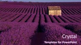  Presentation with old house - Beautiful PPT theme featuring lonely old abandoned stone house backdrop and a wine colored foreground