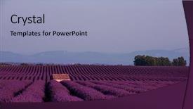  Presentation with old stone age - Colorful presentation design enhanced with lonely old abandoned stone house backdrop and a light blue colored foreground