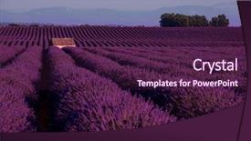  Presentation with old stone age - Presentation with lonely old abandoned stone house background and a wine colored foreground