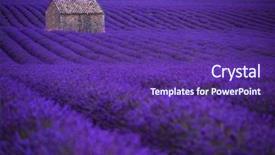  Presentation with old stone age - Presentation theme consisting of lonely old abandoned stone house background and a violet colored foreground