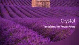  Presentation with old stone age - Presentation design with lonely old abandoned stone house background and a violet colored foreground