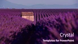  Presentation with old house - Beautiful slide set featuring lonely old abandoned stone house backdrop and a wine colored foreground