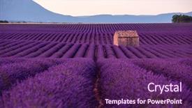  Presentation with old house - Cool new presentation theme with lonely old abandoned stone house backdrop and a violet colored foreground