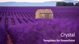  Presentation with old stone age - Presentation enhanced with lonely old abandoned stone house background and a violet colored foreground