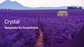  Presentation with old house - Presentation design with lonely old abandoned stone house background and a violet colored foreground