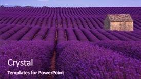  Presentation with old stone age - Colorful presentation theme enhanced with lonely old abandoned stone house backdrop and a violet colored foreground