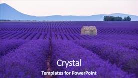  Presentation with old house - Cool new slide set with lonely old abandoned stone house backdrop and a violet colored foreground